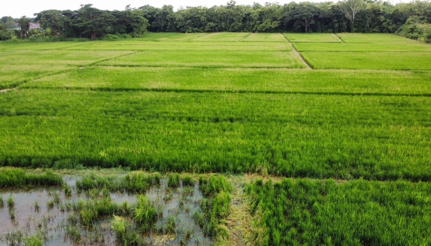 399279118_6769436269838009_1035826403710290740_n