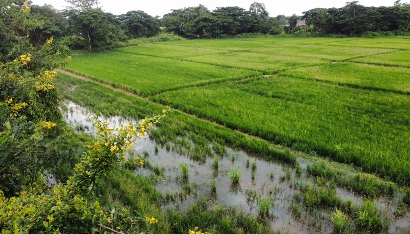 399334466_6769435946504708_5624017445116603215_n