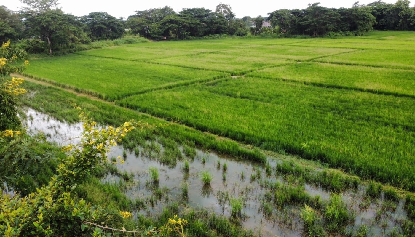 400592473_6769436153171354_9043415757325343078_n