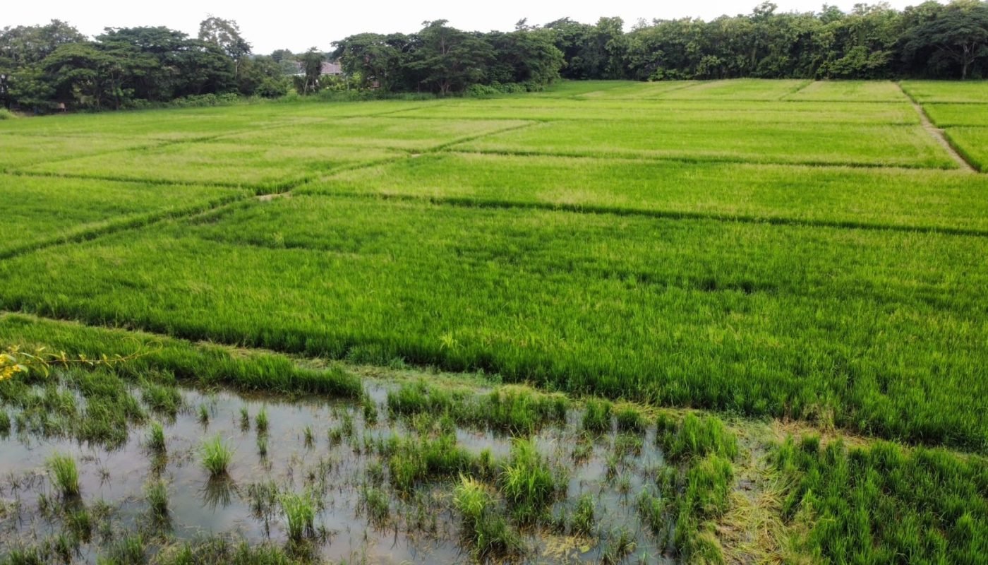 400859195_6769436439837992_6861849046525405770_n