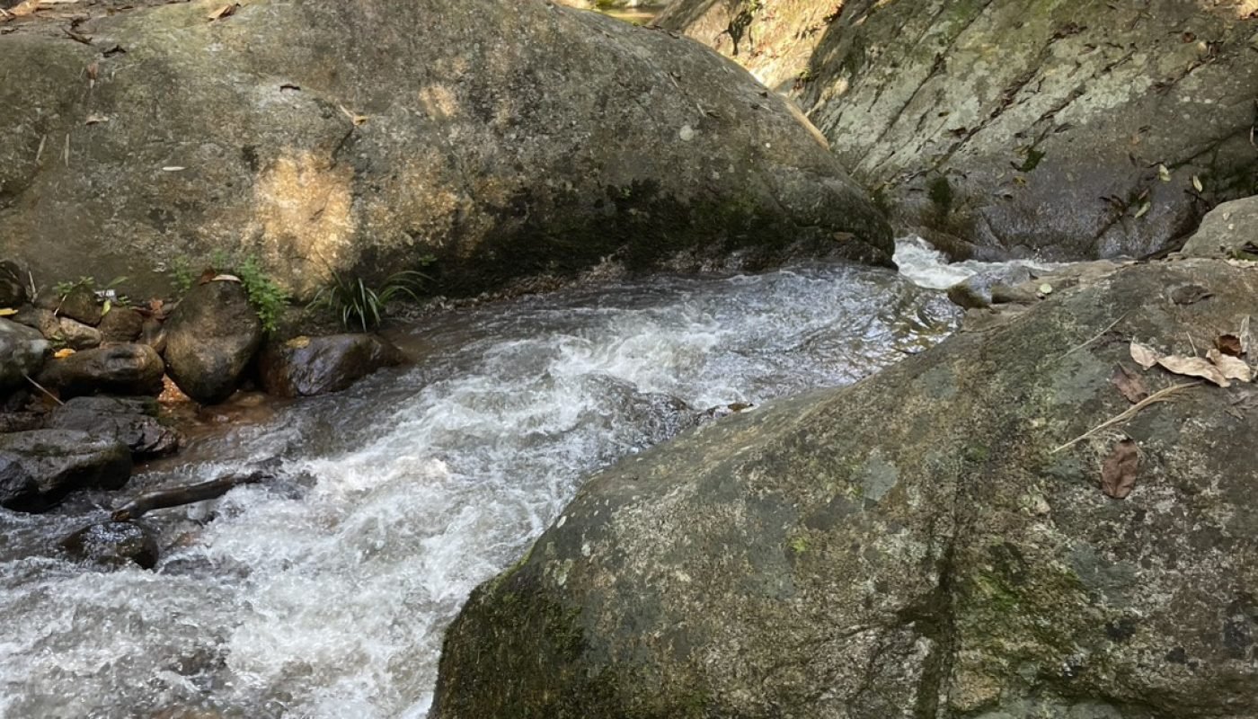 กำปอง 1 ไร่ (10)