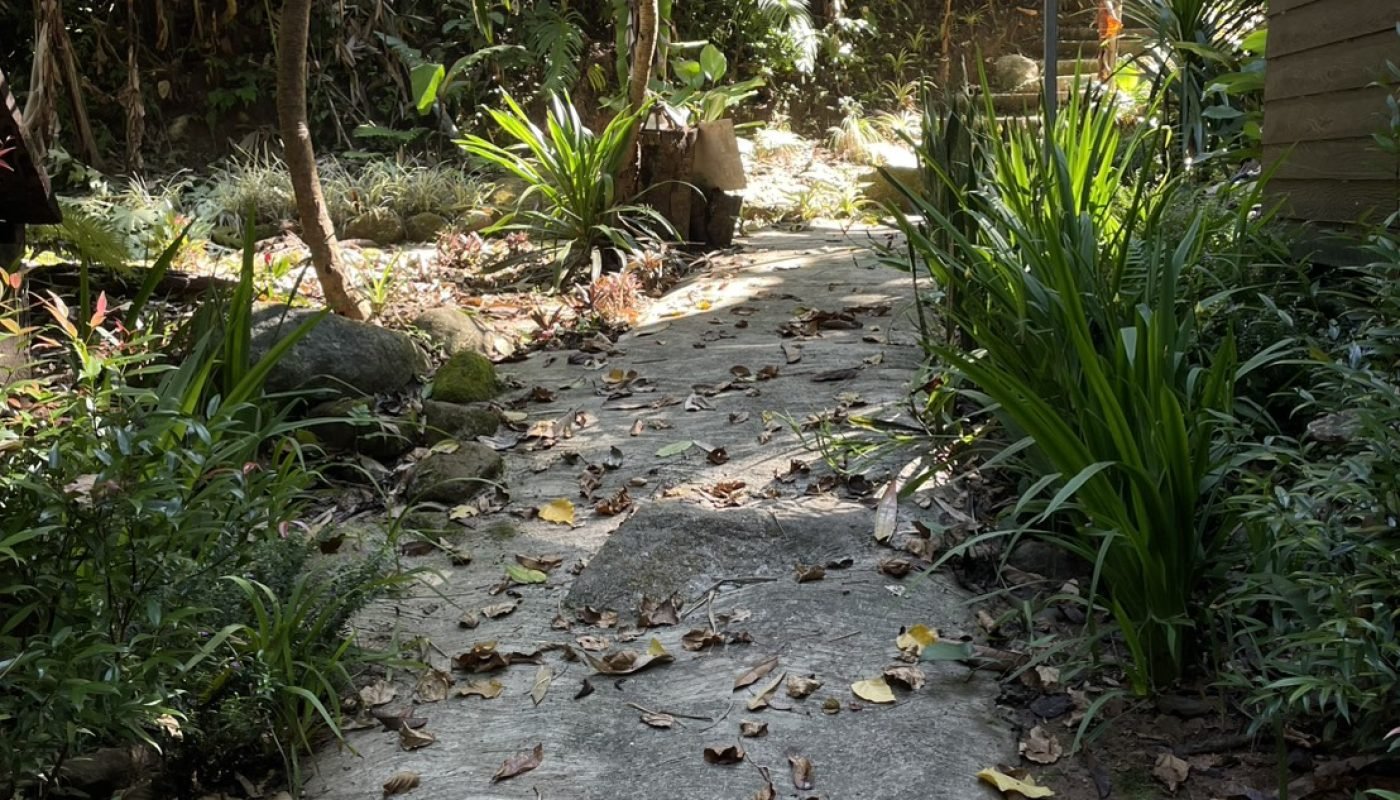 กำปอง 1 ไร่ (11)