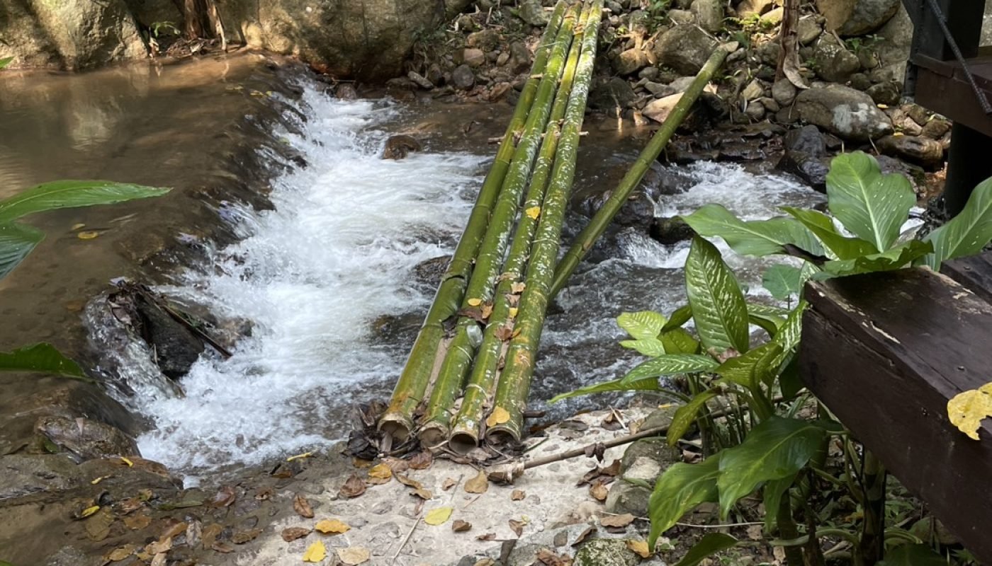 กำปอง 1 ไร่ (12)