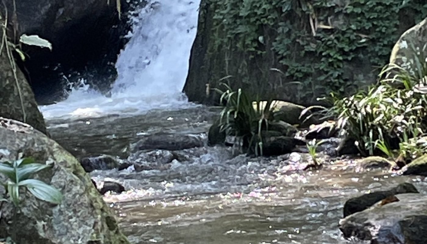 กำปอง 1 ไร่ (7)