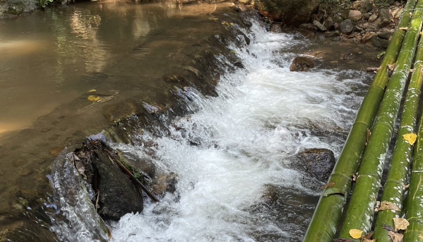 กำปอง 1 ไร่ (8)