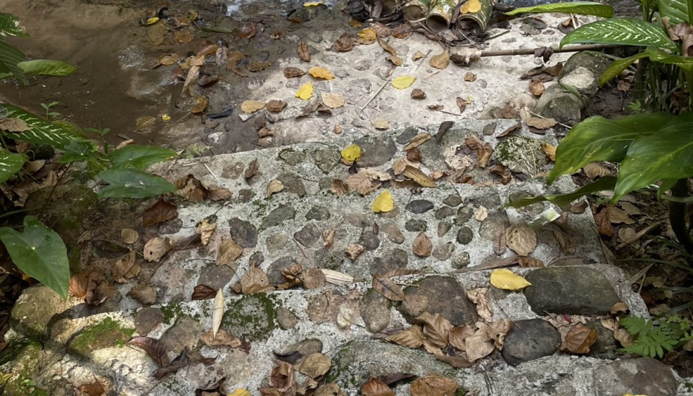 กำปอง 1 ไร่ (9)